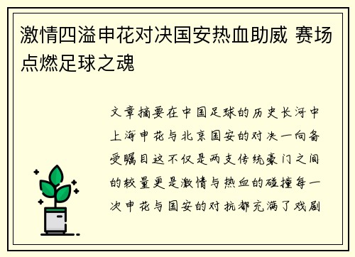 激情四溢申花对决国安热血助威 赛场点燃足球之魂
