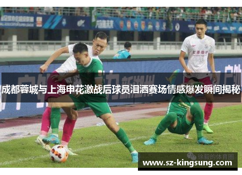 成都蓉城与上海申花激战后球员泪洒赛场情感爆发瞬间揭秘
