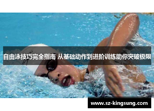 自由泳技巧完全指南 从基础动作到进阶训练助你突破极限