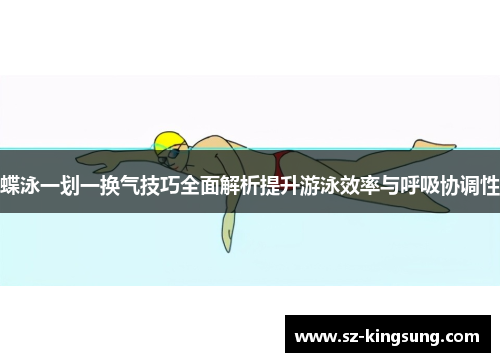 蝶泳一划一换气技巧全面解析提升游泳效率与呼吸协调性
