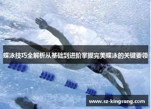蝶泳技巧全解析从基础到进阶掌握完美蝶泳的关键要领